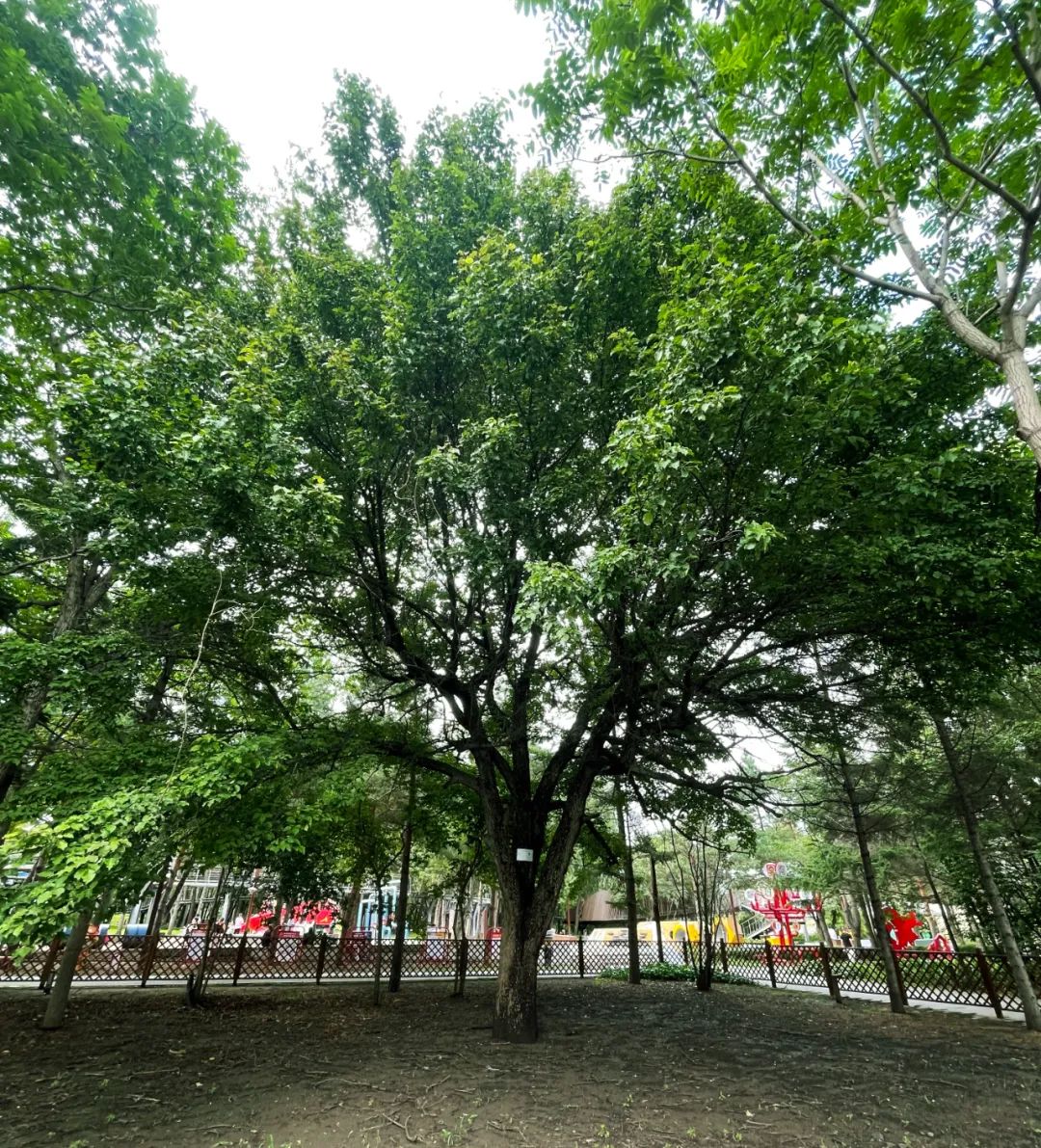 5001拉斯维加斯(中国游)有限公司-BinG百科